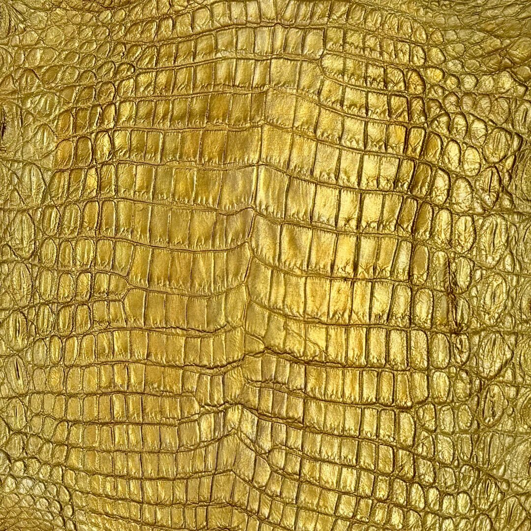 Gold crocodile